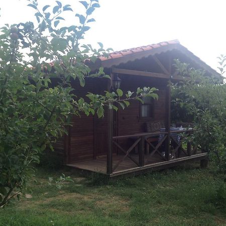 Salkim Konak Ve Agac Evler Selçuk Phòng bức ảnh