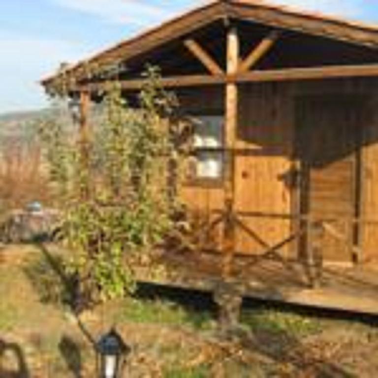 Salkim Konak Ve Agac Evler Selçuk Phòng bức ảnh