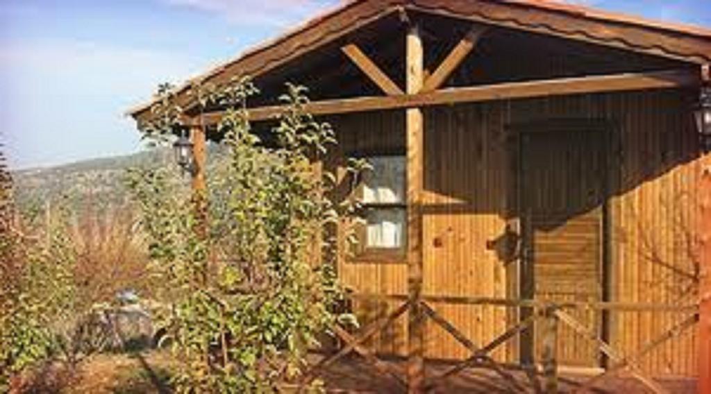 Salkim Konak Ve Agac Evler Selçuk Phòng bức ảnh