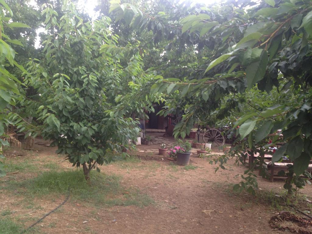 Salkim Konak Ve Agac Evler Selçuk Phòng bức ảnh