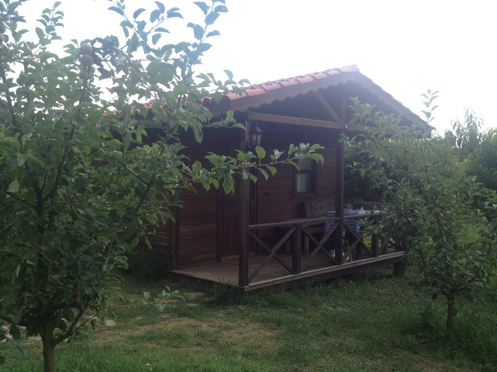 Salkim Konak Ve Agac Evler Selçuk Phòng bức ảnh