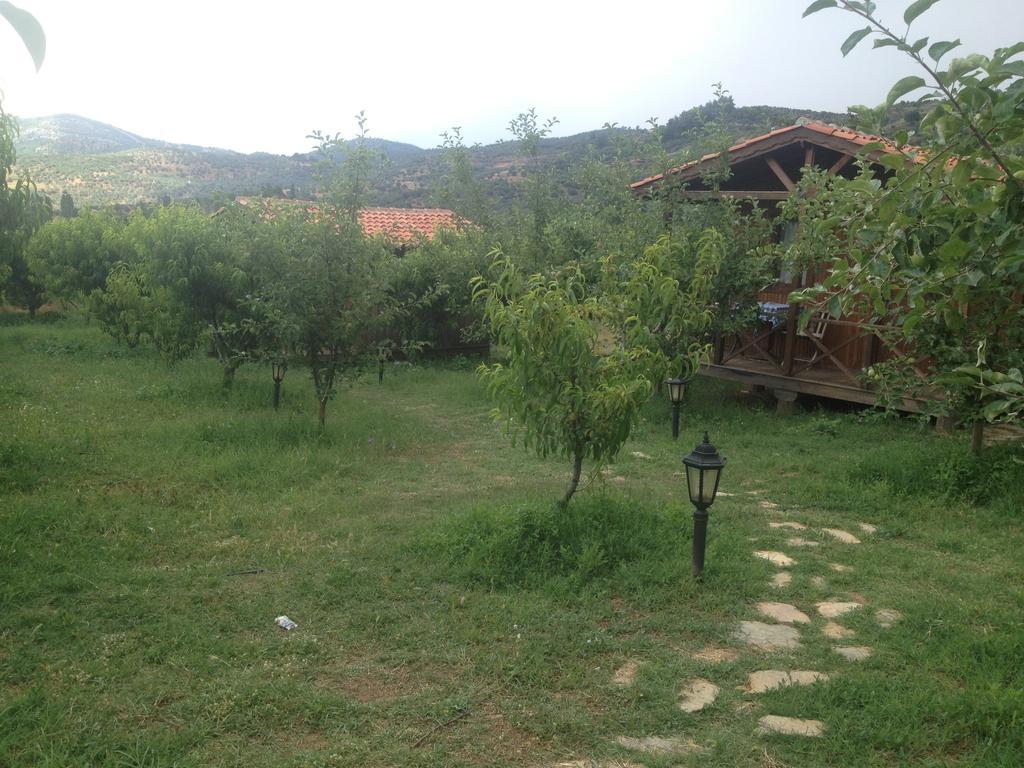 Salkim Konak Ve Agac Evler Selçuk Phòng bức ảnh